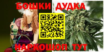 сатива Ачхой-Мартан