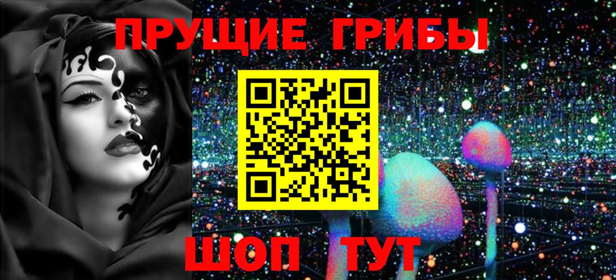 Кирово-Чепецк  Галлюциногенные грибы MAGIC MUSHROOMS  Вход с VPN 