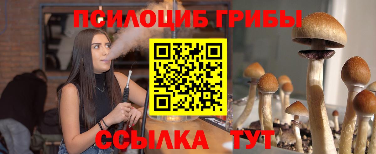 Галлюциногенные грибы Cubensis Кирово-Чепецк